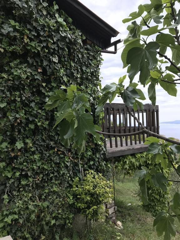Charismatic Garden Cottage With Sea View Lokva Rogoznica Exterior photo
